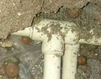 西平测漏水多少钱