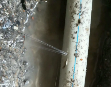 西平测漏水哪家好