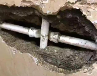 西平测漏水哪家好