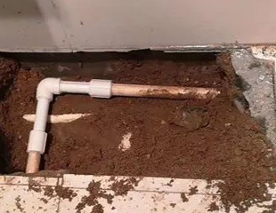 西平测漏水哪家好