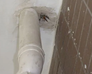 西平漏水检测哪家好